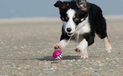 Myrtle Beach After Labor Day