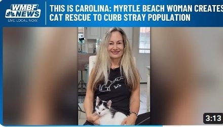 Caring Cat Rescue Myrtle Beach